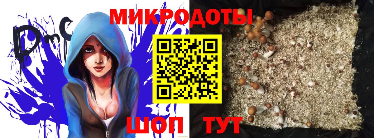 Всеволожск  как найти закладки  Галлюциногенные грибы Magic Shrooms  Вход с VPN  Псилоцибиновые грибы Psilocybine cubensis 